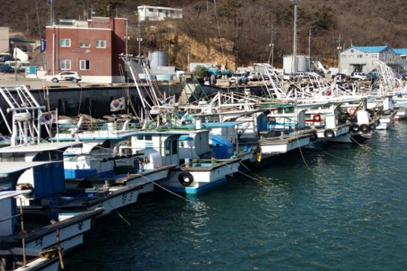 북한군이 지난 20일 오전 백령도 북쪽 황해도 장산곶에서 해안포 1발을 발사해 백령도와 인근 지역에 ‘주민 대피준비령’이 내려짐에 따라 대청도 선진포항에 정박해 있던 어선에서 주민들의 모습이 보이지 않는다. 인천 옹진군청 제공