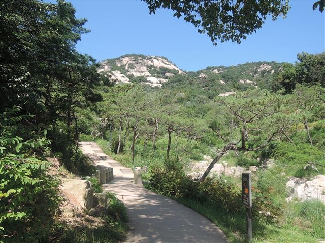 인왕산 자락길의 숲길 탐방로. 종로구 제공  