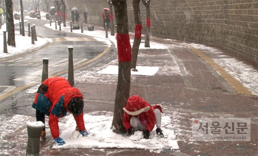 눈이 내리는 28일 오후 서울 덕수궁 돌담길에서 아이들이 가로수 아래 쌓인 눈을 만지며 놀고 있다.