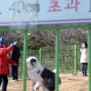 [서울포토]어린이대공원 애견놀이터 재개장