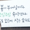[서울포토] ‘봄이 부서질까봐…’