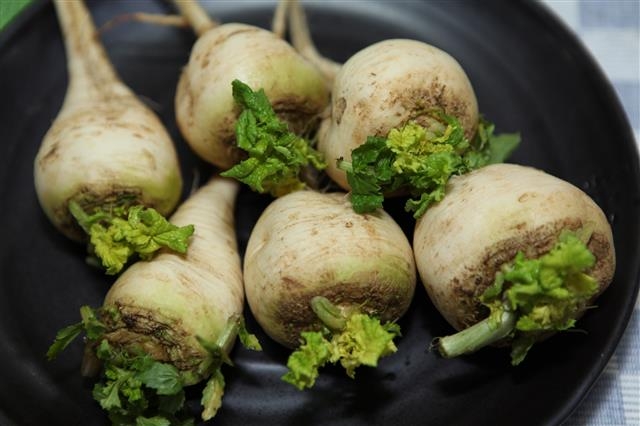 이천시에서 맛볼 수 있는 토종 무인 게걸무. 이천시 제공