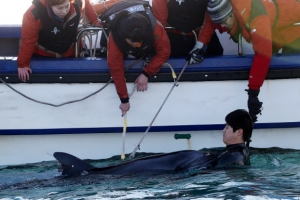 고래야 건강하렴