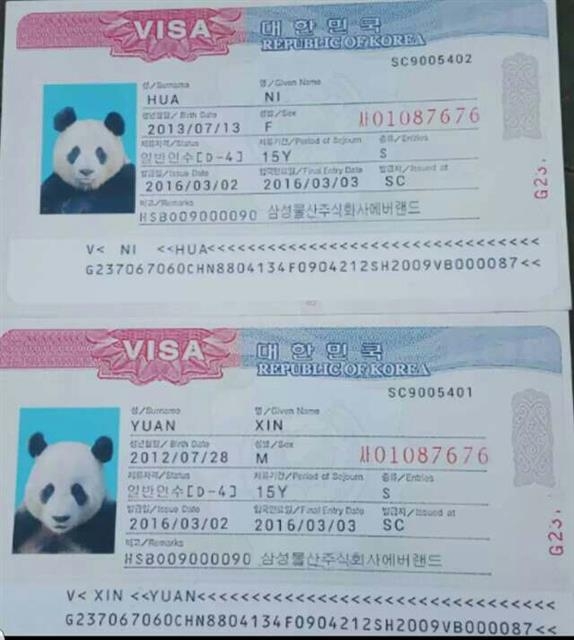 아이바오(위)와 러바오의 여권 사진.  에버랜드 제공 