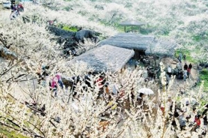 [우리동네 흥겨운 축제] 꽃잎이 살랑, 봄마중 떠난 내 마음도 살랑