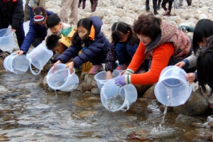 섬진강 화개천 연어 치어 방류