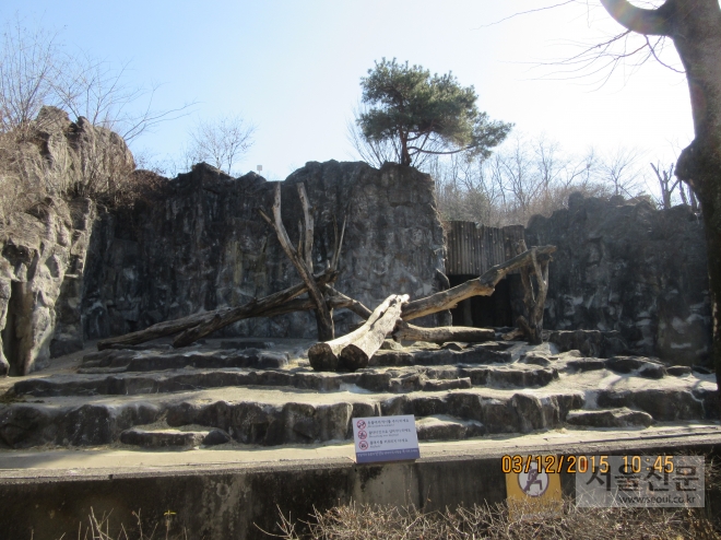 서울대공원 곰 방사장 공사 전 모습. 