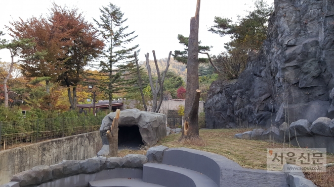 콘크리트를 걷어낸 서울대공원 곰 방사장. 서울대공원 제공 