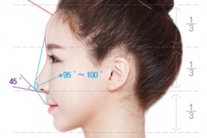 성형 재수술 1위는 ‘코’…이상적인 코 성형과 부작용 예방법은