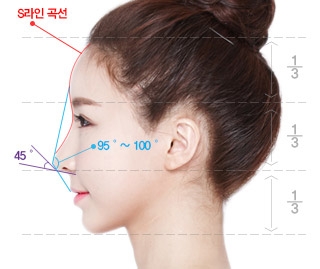 이상적인 코 모양. 17일 성형외과 전문의들에 따르면 미학적으로 가장 아름다운 코의 길이는 얼굴 길이의 3분의 1가량이다. 이마, 눈썹, 턱까지 얼굴이 3등분이 돼야 하고 콧망울은 얼굴 폭의 5분의 1 정도가 이상적이다. 사진=코리아성형외과 제공.