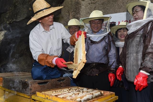 김성환 구청장이 노원구 불암허브공원 안 도시양봉체험장에서 꿀을 채밀하고 있는 모습. 노원구 제공