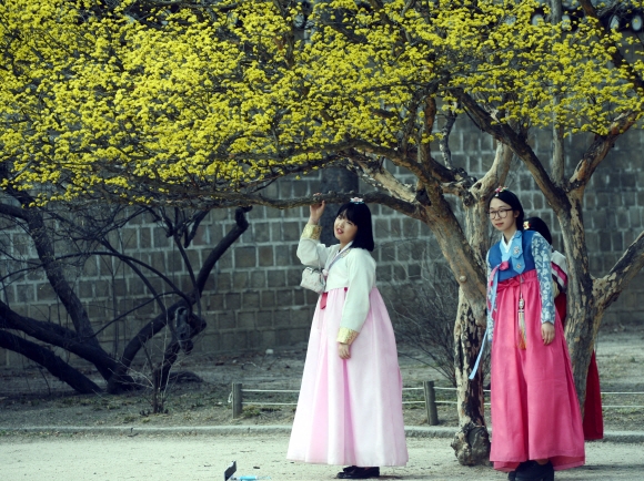 춘분인 20일 오후 경복궁을 찾은 관람객들이 한가로운 시간을 보내고 있다. 안주영 기자 jys@seoul.co.kr