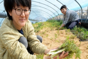 입맛 돋우는 ‘봄 한아름’