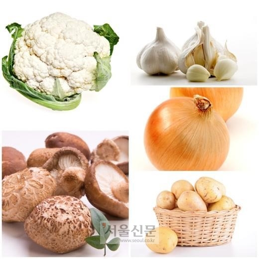 피부를 위해 먹어야할 5가지