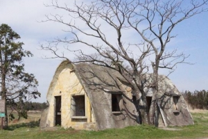 1채 남은 제주 이색농가 ‘테쉬폰’ 살리기 나선다