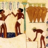 “술이 없었으면 인류문명도 없었다”