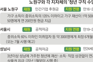 세금 아닌 후원금으로… 노원 ‘200만원 청년 지원금’