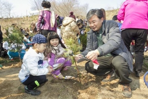 치유 한 그루… 봉산 편백나무숲