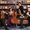 악기값만 170억… ‘명품’ 현악 4중주