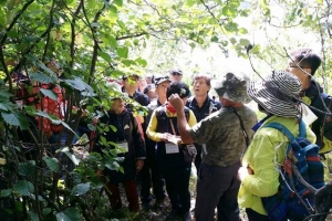 “나도 약초 전문가”