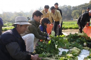 봄날, 자연을 느끼고