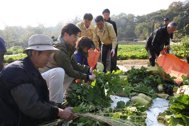 이해식(왼쪽 두번째) 강동구청장이 상일동 명일근린공원 공동체 텃밭에서 주민들과 작물을 수확하고 있다. 강동구 제공