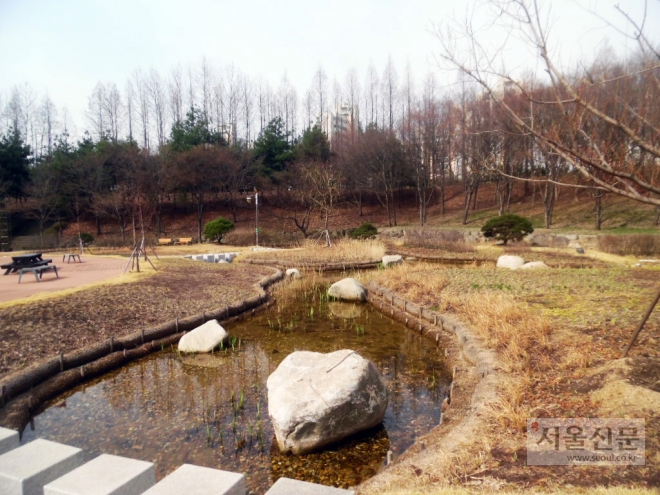 서울 강서구가 추진한 그린빗물인프라 사업으로 황폐한 서남환경공원이 녹색지대(아래 사진)로 바뀌었다. 강서구 제공