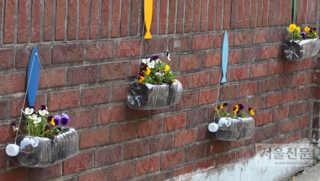 경기 군포시 재궁동의 칙칙했던 골목길이 봄꽃을 심은 재활용 화분으로 화사하게 변해 있다. 군포시 제공 