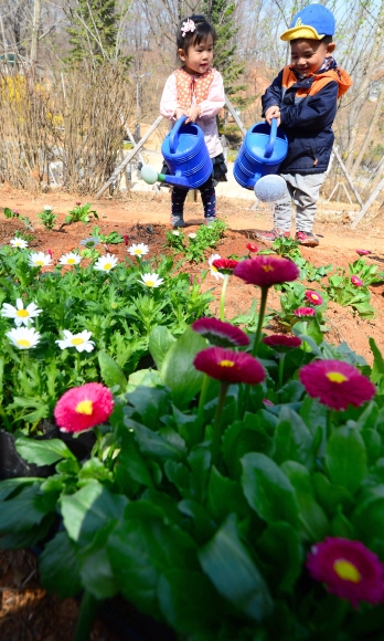 1일 서울 마포구 성산동 성미산 산책로에서 열린 ’성미산 식목일 기념 나무심기’행사에서 인근 유치원 아이들이 꽃에 물을 주고 있다.  박윤슬 기자 seul@seoul.co.kr
