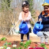 [서울포토] 고사리 손으로 꽃에 물주는 아이들