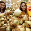 햇양파 나왔다…金양파 비켜라