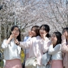 [서울포토] 벚꽃을 배경으로 한 장