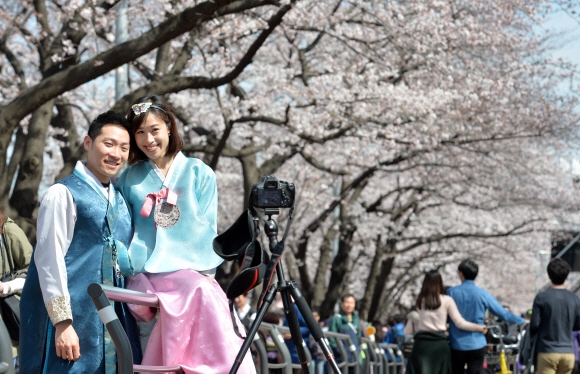 4일 봄꽃축제가 열리고 있는 서울 여의도 윤중로에서 한복을 입은 홍콩 관광객들이 활짝 핀 벚꽃을 배경으로 사진을 찍으며 한국에서의 추억을 남기고 있다.  손형준 기자 boltagoo@seoul.co.kr