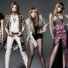 그룹 투애니원(2NE1) 7년만에 해체… 씨엘, 산다라박은 솔로계약