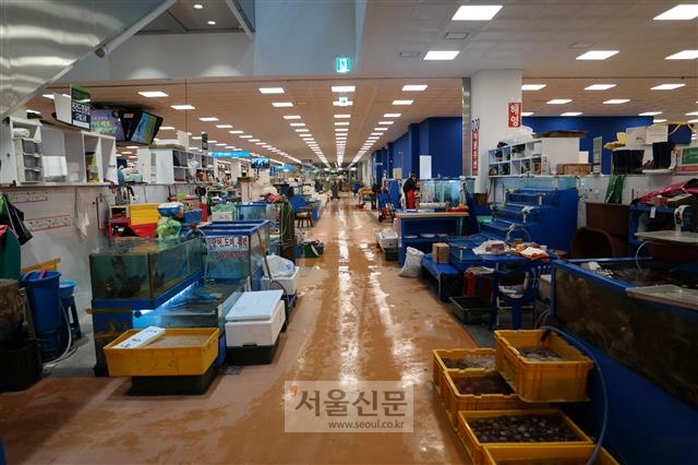 같은 날 새벽 수협중앙회가 새롭게 만든 현대식 수산시장은 상인들의 입주율이 낮아 썰렁한 모습을 보이고 있다. 조용철 기자 cyc0305@seoul.co.kr