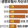 [글로벌 경제] 안방보험, 알리안츠생명 한국법인 인수… 2000억~3000억 저가 매매 ‘미스터리’