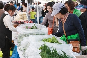한강서 한우도 사고 전국 유명축제도 만나고~