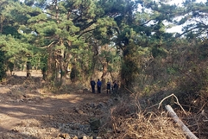 제주법원, 제주 제2공항 주변 땅 투기한 기획부동산 실형