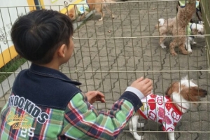 함께 살면 안 될까요? 둘째 넷째 토요일 월드컵 공원서 ‘유기동물 입양행사’