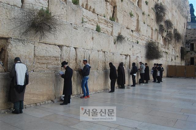 통곡의 벽에서 토라를 읽고 기도를 드리는 유대인들. 통곡의 벽 앞에 나아가기 위해서는 외국인이더라도 유대교 전통 모자인 ‘카파’를 써야 한다.