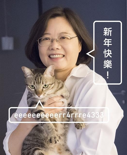 지난 1월 대만 대선에서 승리한 차이잉원 민주진보당 주석은 자신이 키우는 고양이와 함께 찍은 사진으로 부드러운 이미지를 구축했다. 페이스북 캡처