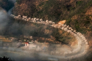 환상의 드라이브 코스 전북 임실군 운암면 옥정호 벚꽃길