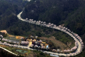 벚꽃 벗 삼은 산길