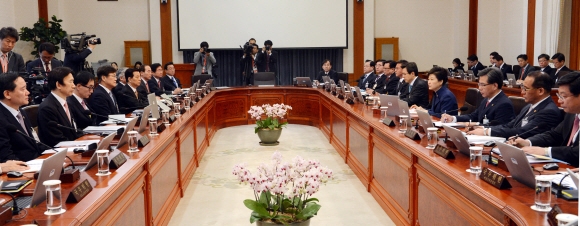 박근혜 대통령이 12일 오전 청와대에서 열린 국무회의에서 모두발언하고 있다.   안주영 기자 jya@seoul.co.kr