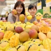 [서울포토] “맛있는 망고 드세요”