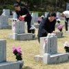[서울포토]묘비 닦는 4.19유족회 회원들