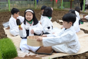 곡우 맞은 꼬마 농부… 풍년 기원하며 모판 만들기