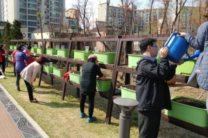 [초대합니다…우리 區 대박 명소!] 건강한 외출… 마음 달래는 텃밭으로