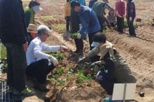서울 강서구, 초보 도시농부에게 ‘흙맛’을 알려드려요
