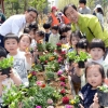 서대문구 ‘꽃사랑 이웃사랑’ 꽃축제